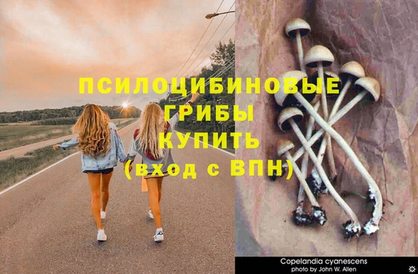 кокаин перу Аркадак